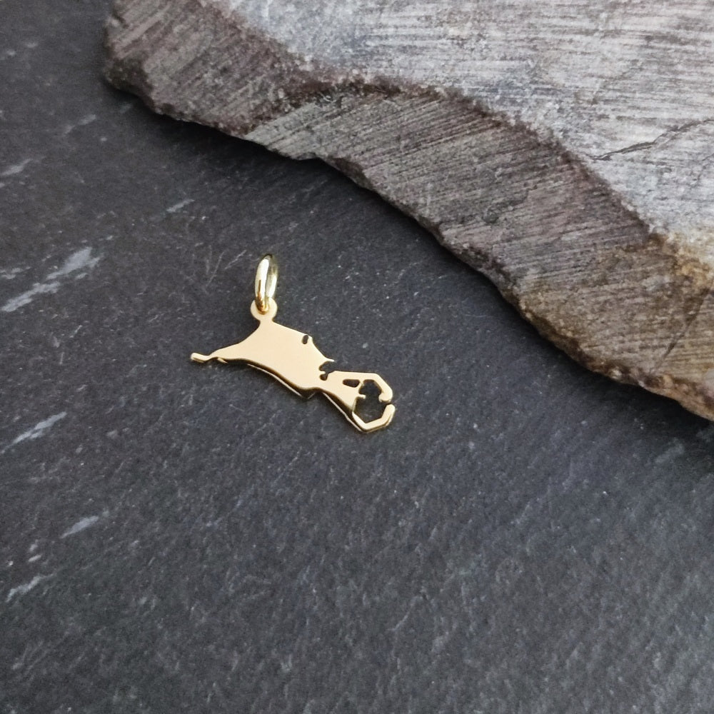 Zierliche Landkarten-Anhänger Ihrer Wahl aus 585er Gelbgold (LK20/14GG)
